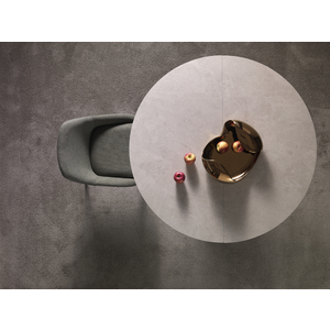 Moon - 0.9784264994868316